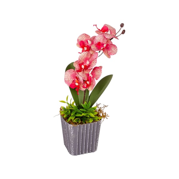 VASO DECORATIVO INT. ORQUÍDEA 26 CM 