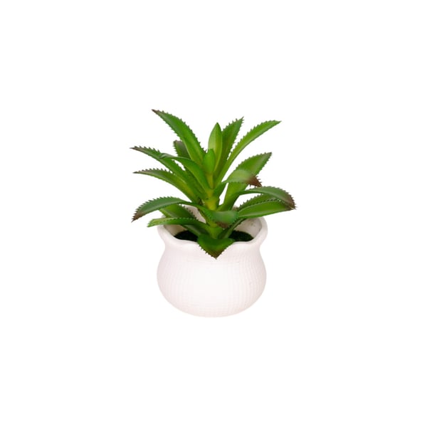 VASO DECORATIVO INT. SUCULENTA 9 CM VASO BRANCO