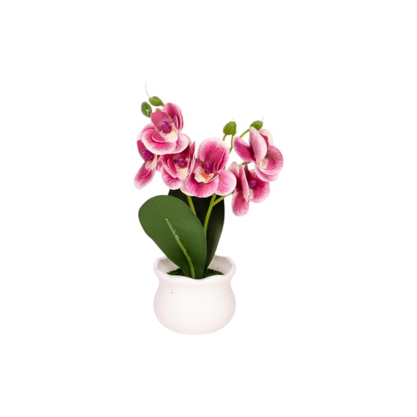VASO DECORATIVO INT. ORQUÍDEA 17 CM VASO BRANCO