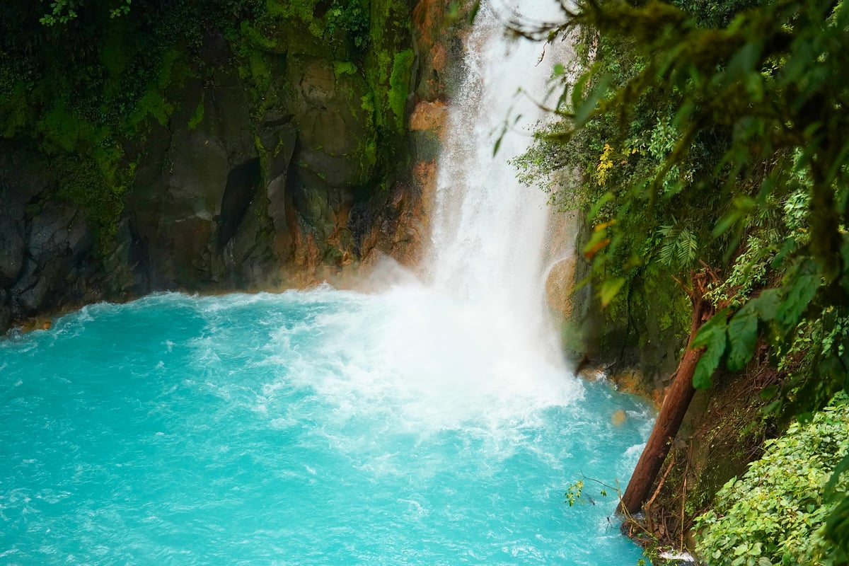 A white waterfall plunges into a vibrant turquoise pool surrounded by mossy rocks and dense tropical foliage.