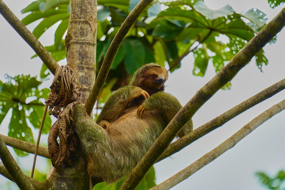 Costa Rica