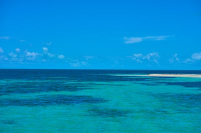 Shifting Tropical Blues