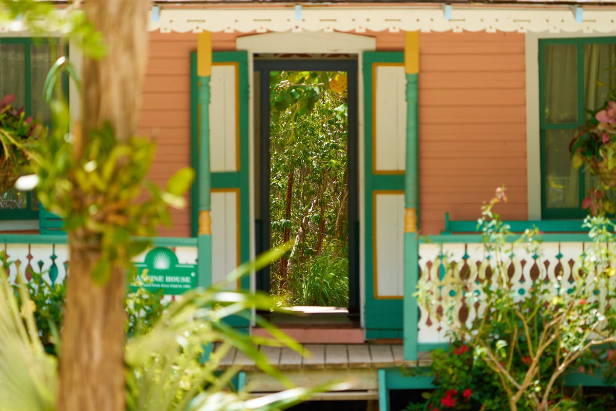 A view through the open doorway of a peach-colored house with teal shutters reveals a dense green forest in bright sunlight.