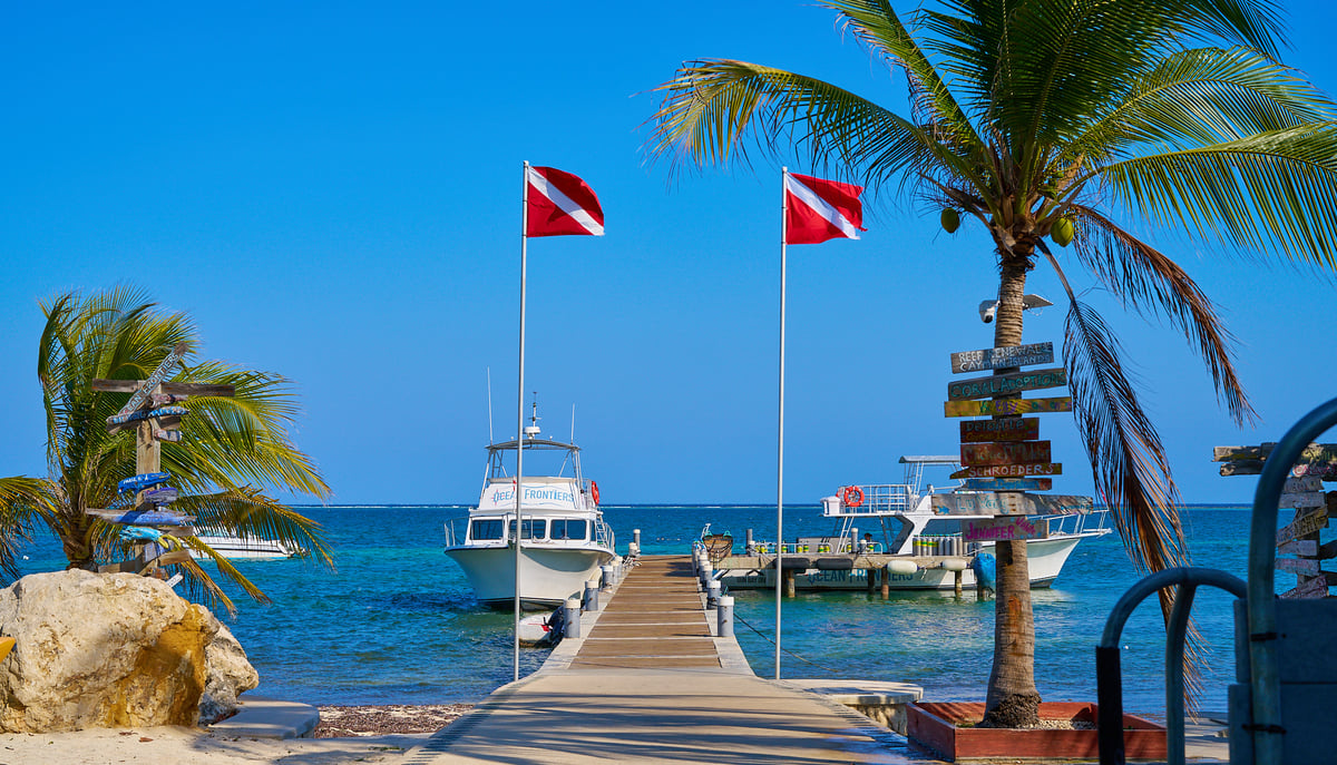 A wooden pier leads to two white dive boats docked in turquoise water under a clear blue sky, flanked by palm trees and red-and-white dive flags.