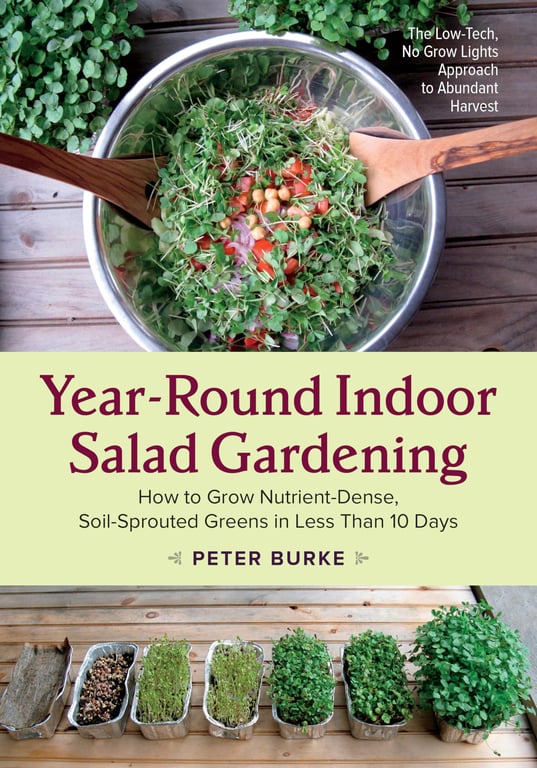 Year‑Round Indoor Salad Gardening