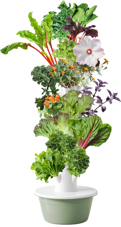 Lifello 36‑Spot Vertical Hydroponic Tower