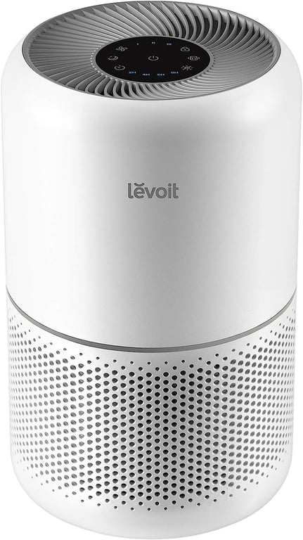 LEVOIT Core300 Air Purifier