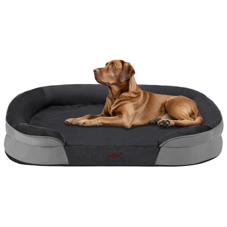 Dwanton Orthopedic Dog Bed XL