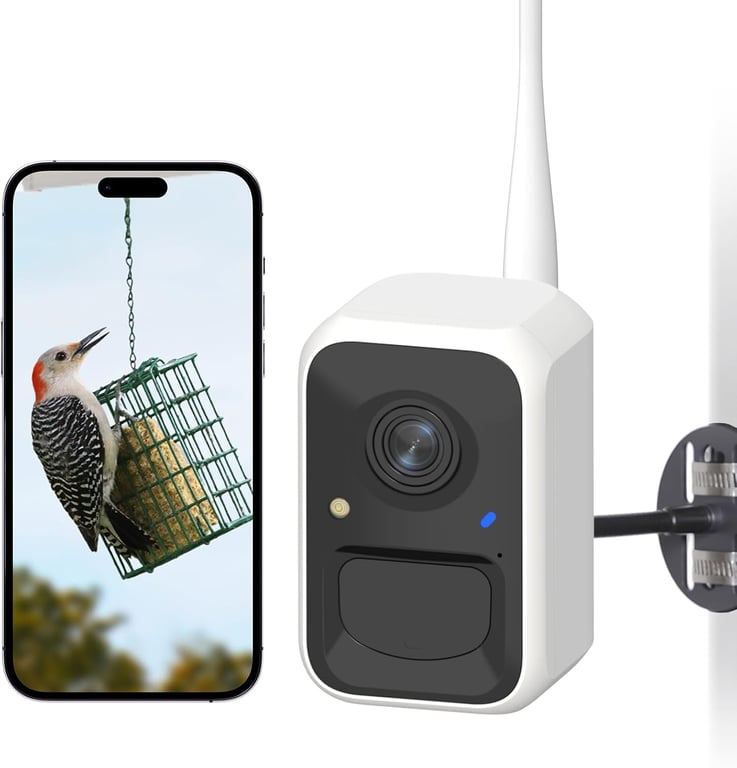 NETVUE Birdfy Smart Bird Camera