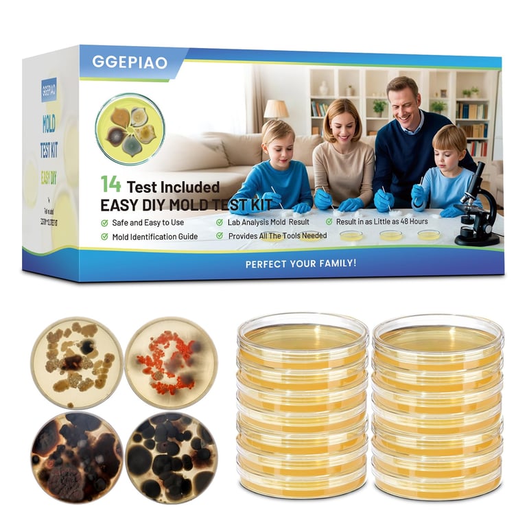 ggepiao 14-Test Mold Detection Kit