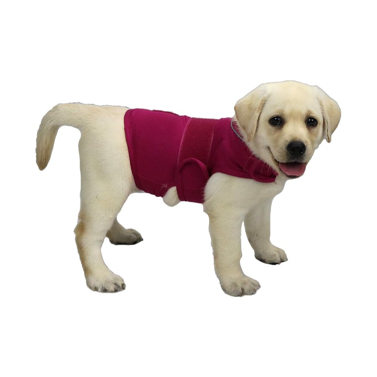 Cattamao Dog Anxiety Vest