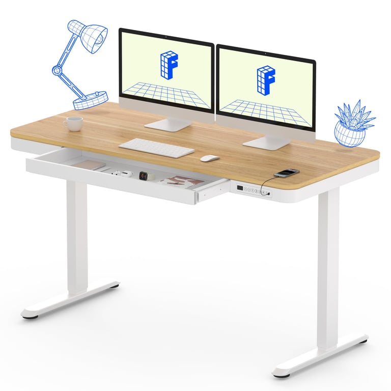 FlexiSpot Electric Standing Desk 55