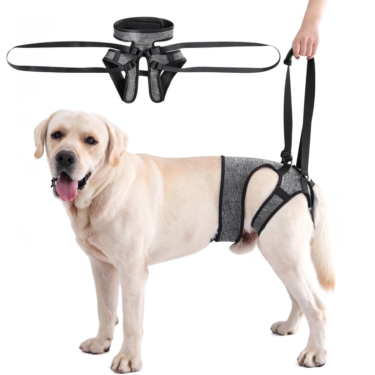 Lianzimau Dog Sling