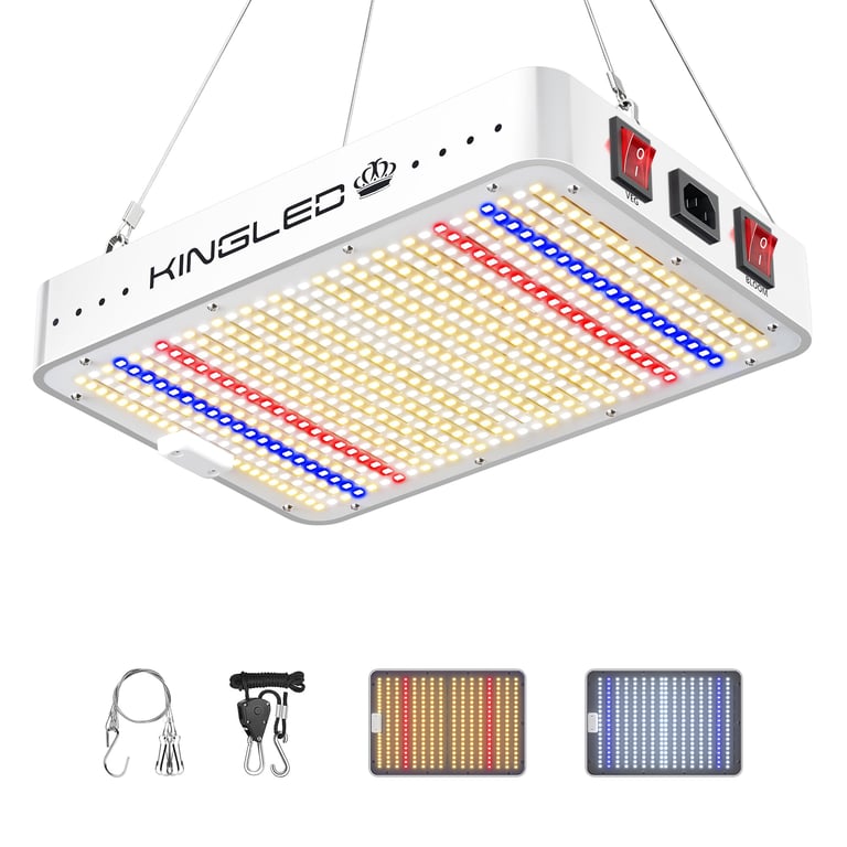 KingLED KP1000