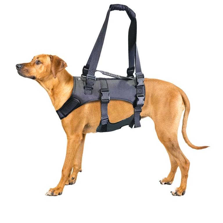 Doggie Stylz Dog Lift Harness