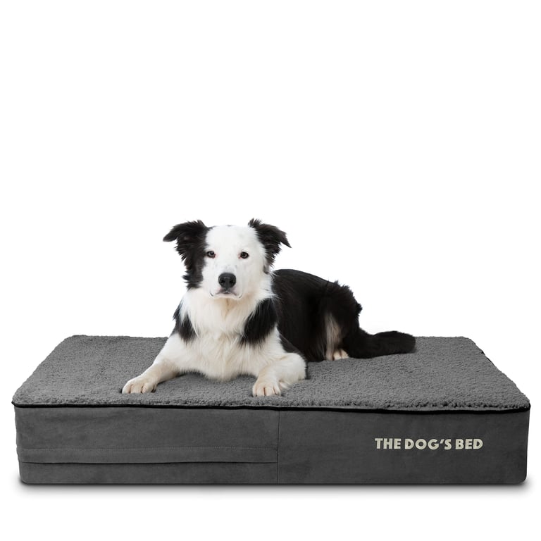 The Dog’s Bed Orthopedic Foam Bed