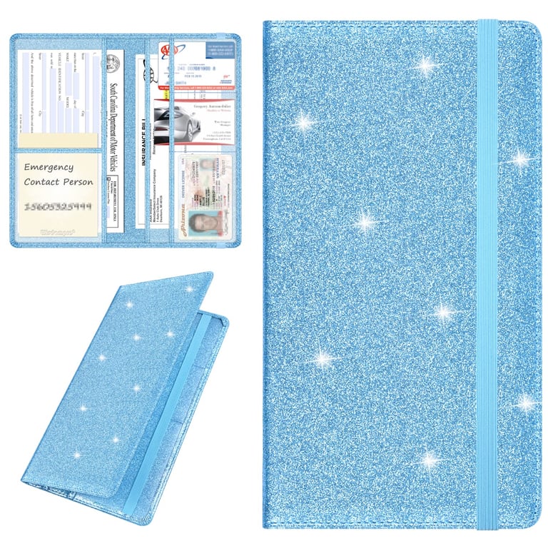 Wisdompro Car Document Holder