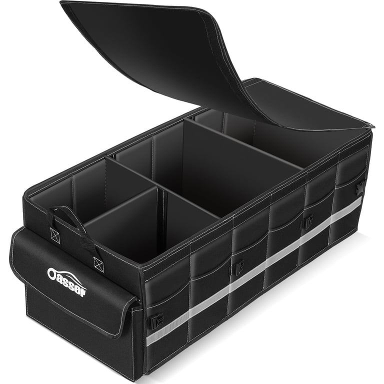 Oasser Collapsible Organizer