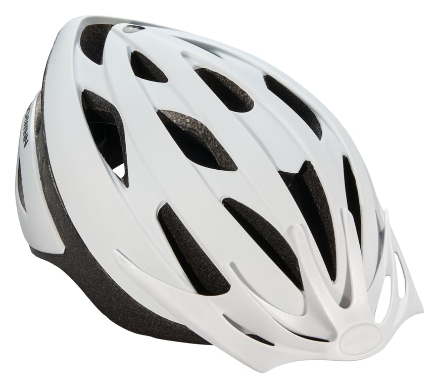 Schwinn Thrasher Helmet