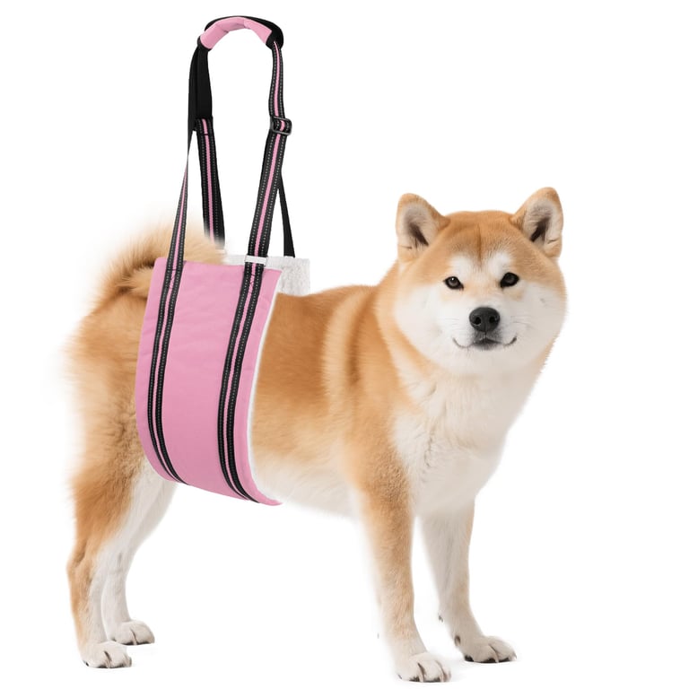 Aiitle Dog Carrier Sling