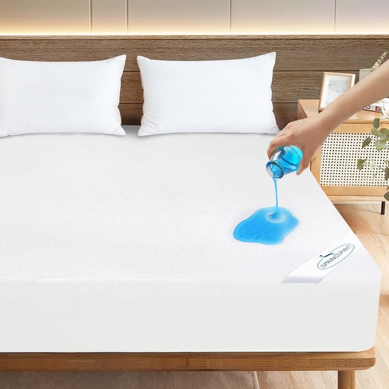SPRINGSPIRIT Queen Mattress Protector
