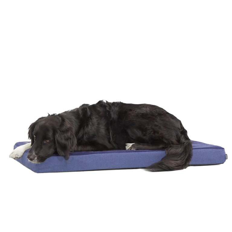 Barkbox Memory Foam Dog Bed