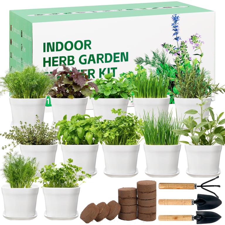 BuggyBeds 12 Herb Garden Kit