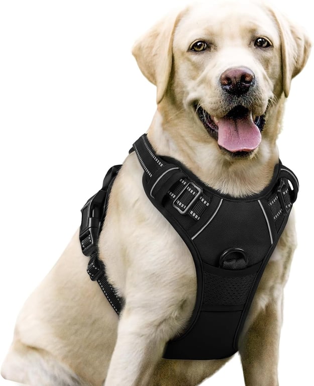 rabbitgoo No‑Pull Dog Harness