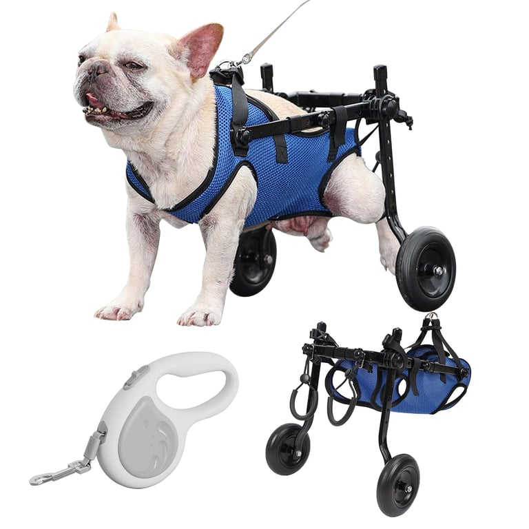 Blisspire Medium Dog Wheelchair