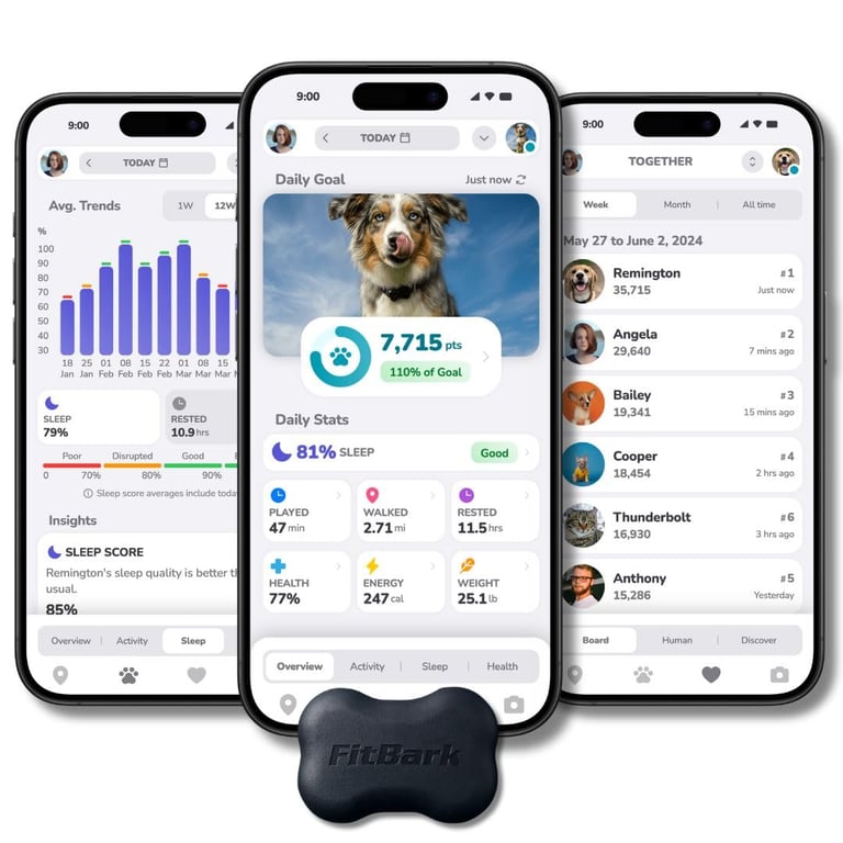 FitBark 2 Dog Activity Tracker