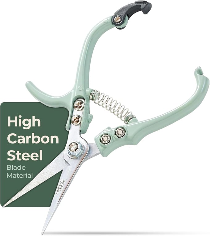 Modern Sprout Pruning Shears