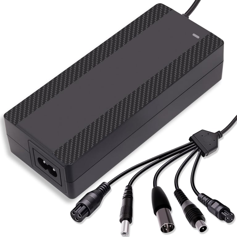 CraogeCo 29.4V Lithium Battery Charger