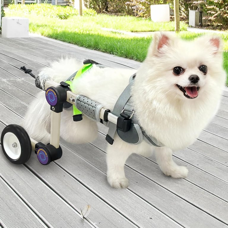 LetPetRun Dog Wheelchair