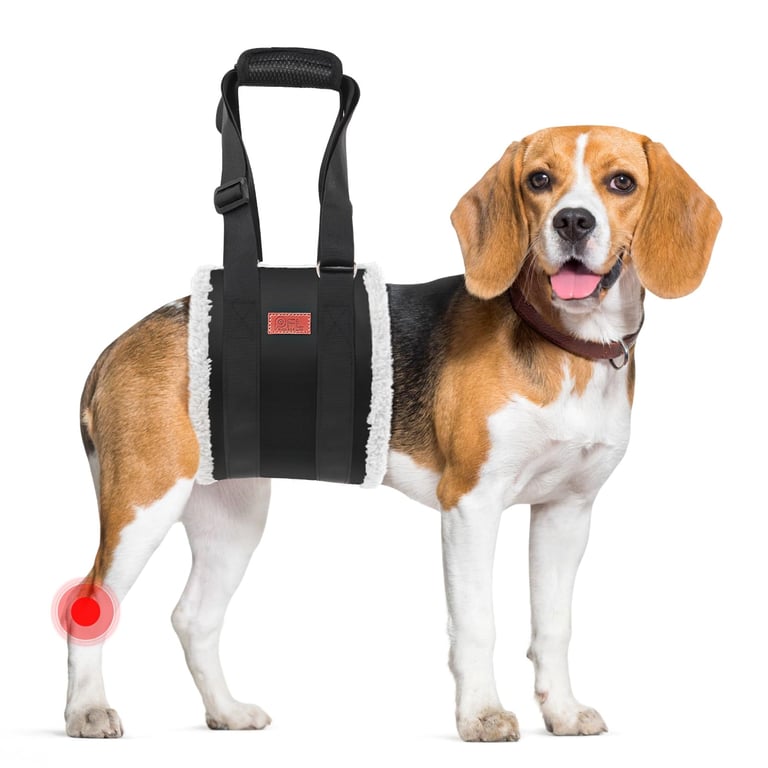 Pick for Life Dog Rear Lift