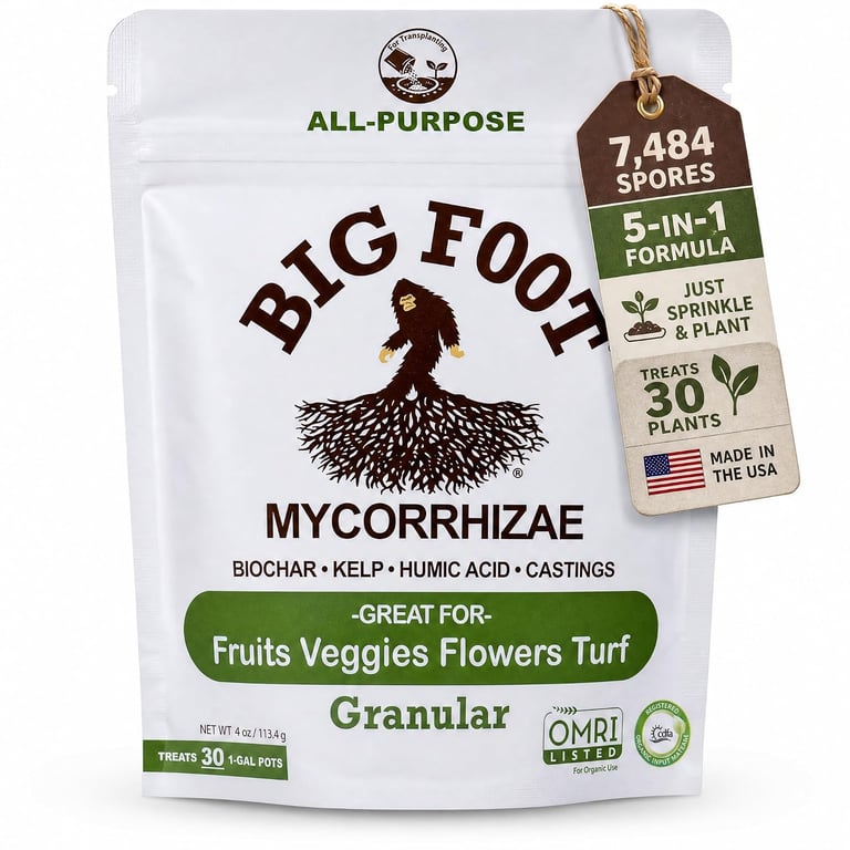 Big Foot Mycorrhizae