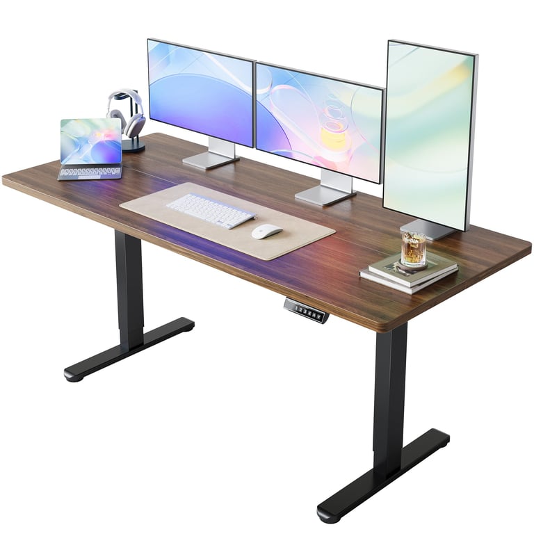 HUANUO Electric Standing Desk
