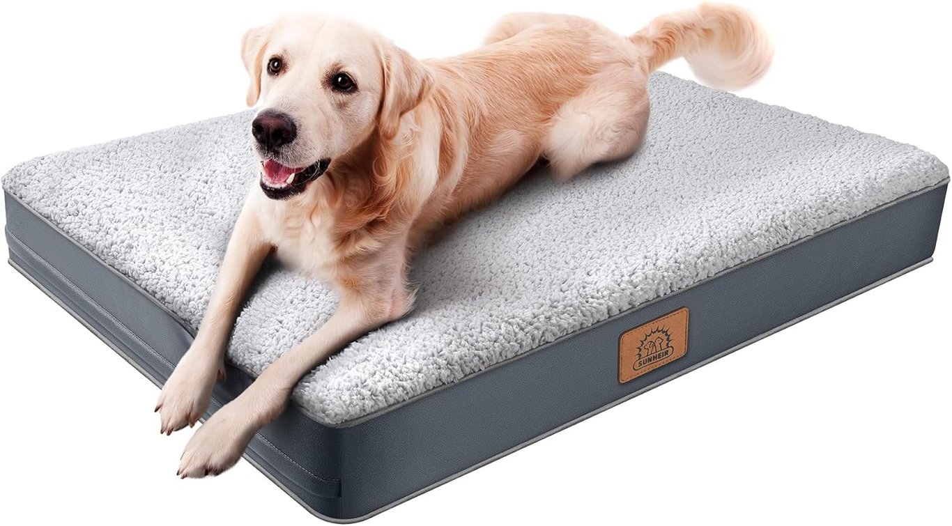 Sunheir Orthopedic Large Dog Bed
