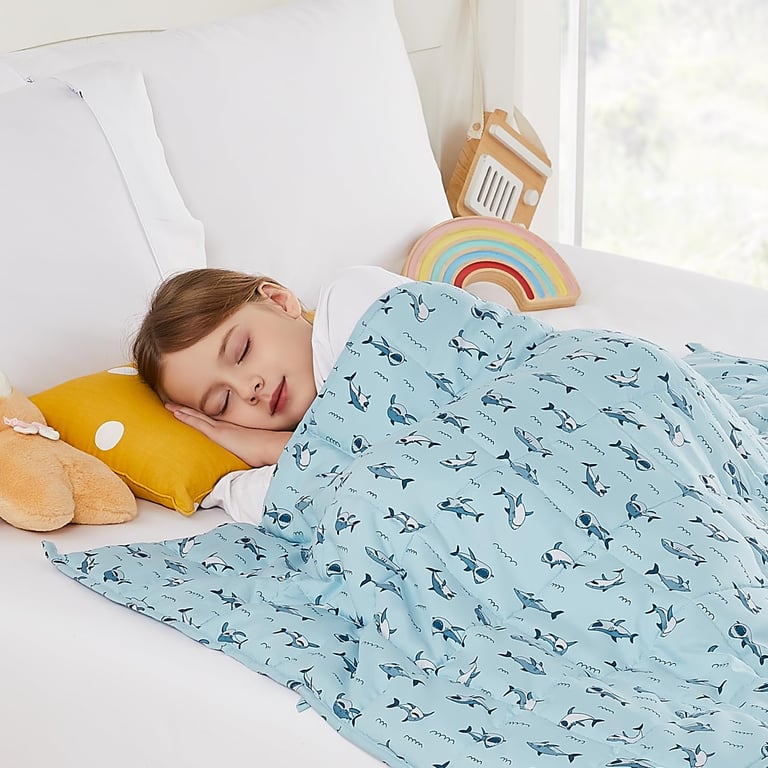 HOSUKKO Weighted Blanket