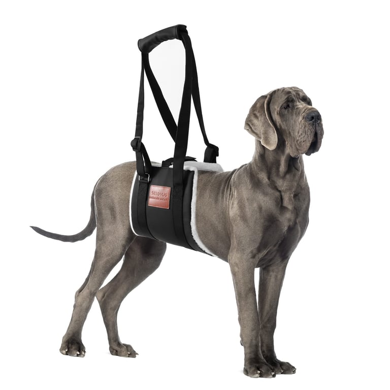 S‑Etovus Dog Sling Support