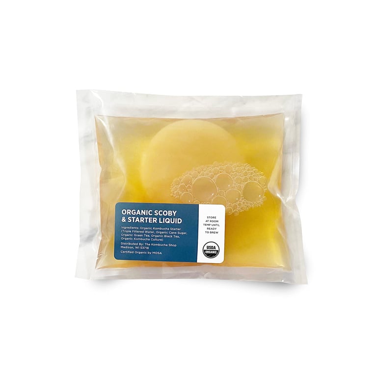 Urban Kitchen Organic Kombucha Starter Kit