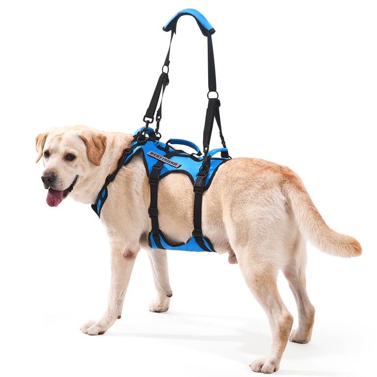 Lafoty Dog Lift Harness