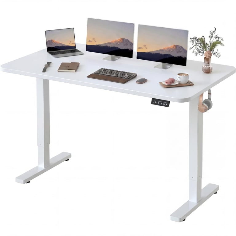 Furmax Electric Standing Desk
