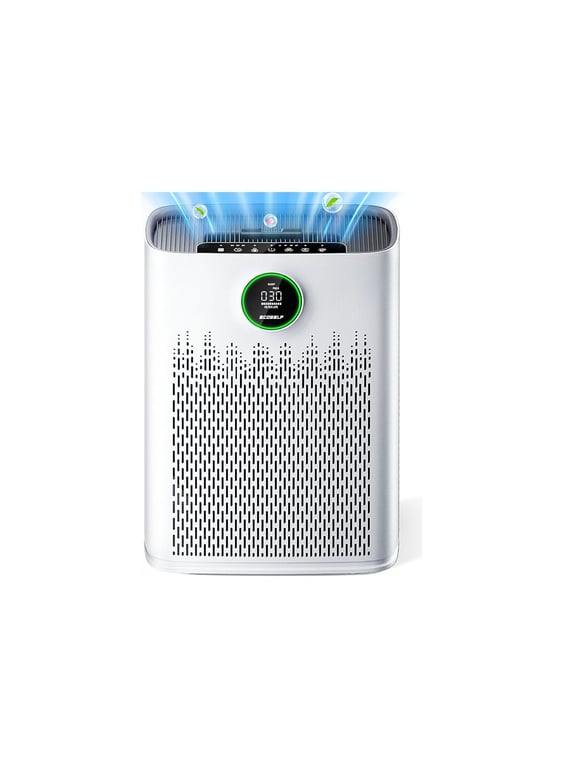 ECOSELF Large Room Air Purifier