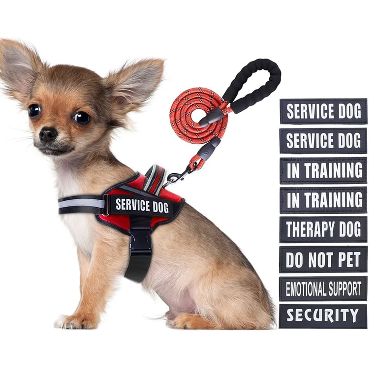 Animire Service Dog Vest & Leash Set