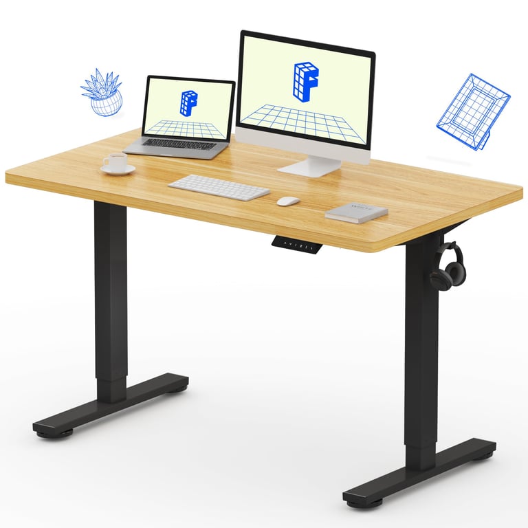 FLEXISPOT EN1 Adjustable Desk