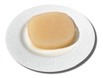 IBIV Kombucha Scoby Starter