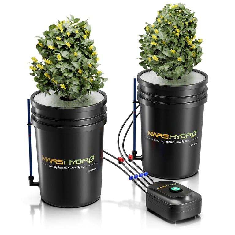 Mars Hydro DWC Hydroponics System