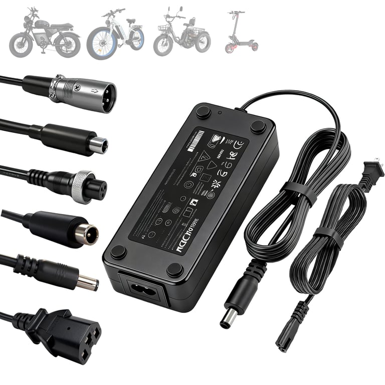 BICMDO Universal 48V Battery Charger