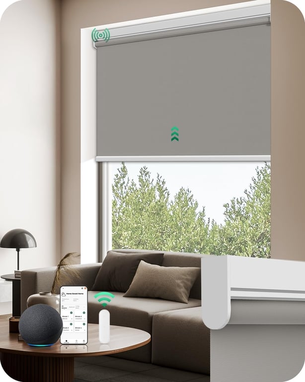 Allesin Motorized Blackout Blinds