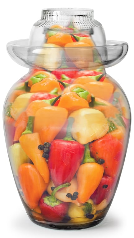 Urban Trend Glass Fermenting Jar